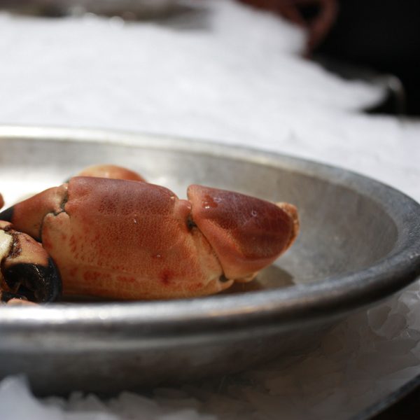 Poissonnerie aux Halles de l'Ouest